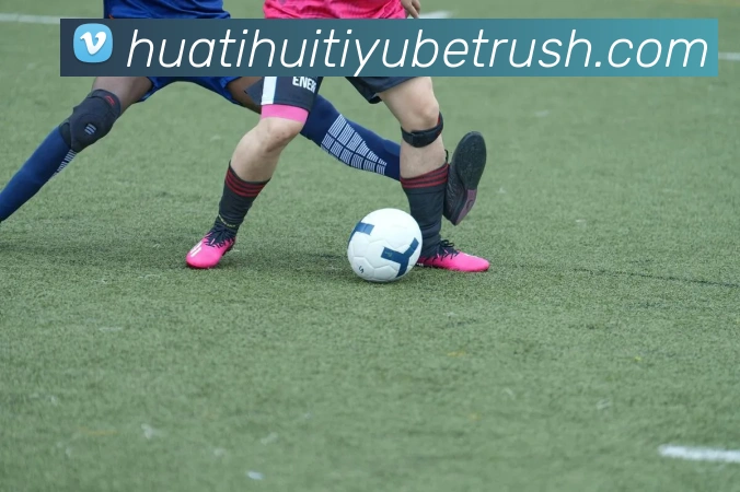 App Interface Preview