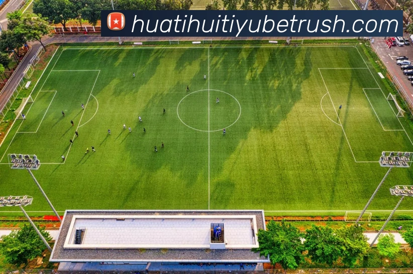 华体会体育APP 封面图